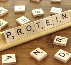 Protein