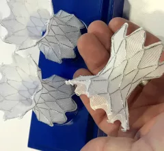 Harmony transcatheter pulmonary valve 