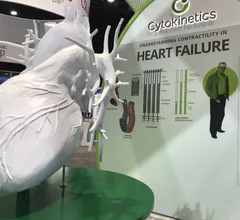 Many attendees shot selfies in front of the the massive heart on display in the Cytokinetic booth at AHA 2022.