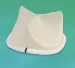 Abbott and the U.S. Food and Drug Administration (FDA) are warning healthcare providers about the potential risk of early structural valve deterioration (SVD) with Abbott’s line of Trifecta bioprosthetic heart valves. This includes the original Trifecta valve and the Trifecta GT, which are both designed to treat disease, damaged or malfunctioning aortic heart valves.