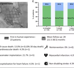 Data on a next-generation balloon-expandable transcatheter heart valve