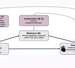 Direct acyclic graph representing a causal structural model of mediation of the association between obesity in early pregnancy and cardiovascular disease (CVD) risk factors after delivery. E indicates exposure; GDM, gestational diabetes; HDP, hypertensive disorders of pregnancy; M, mediators; O, outcome; PTB, preterm birth; SBP, systolic blood pressure; SGA, small-for-gestational-age birth; and TC, total cholesterol. *Variable included in sensitivity analysis.