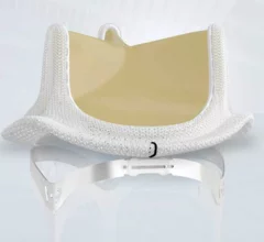 Edwards Lifesciences INSPIRIS RESILIA Aortic Valve
