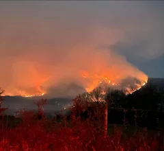 Wildfire pollution image. Photo courtesy of the American Heart Association.