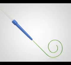 Medtronic Stedi Extra Support guidewire