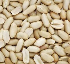 Eating unsalted peanuts improves the brain's vascular health