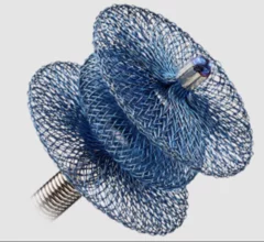 Abbott has received U.S. Food and Drug Administration (FDA) clearance and CE mark approval for its Amplatzer Piccolo Delivery System. 