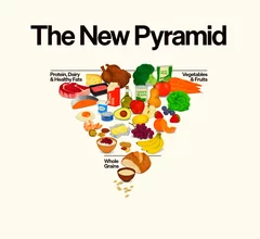 new food pyramid