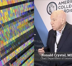 Video interview with Ronald Crystal, MD, chair, Department of Genetic Medicine at Weill Cornell Medicine, presented late-breaking findings on a first in-human, virus-delivered gene therapy trial to stop cardiomyopathy death in patients with Friedreich Ataxia (FA). #ACC #ACC26