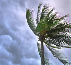 windstorm hurricane