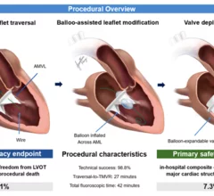 How BATMAN technique can reduce risk of LVOT obstruction during TMVR