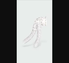 Gore Excluder Conformable AAA Endoprosthesis