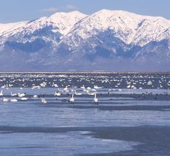 Great Salt Lake Dr. Dwayne Meadows.
