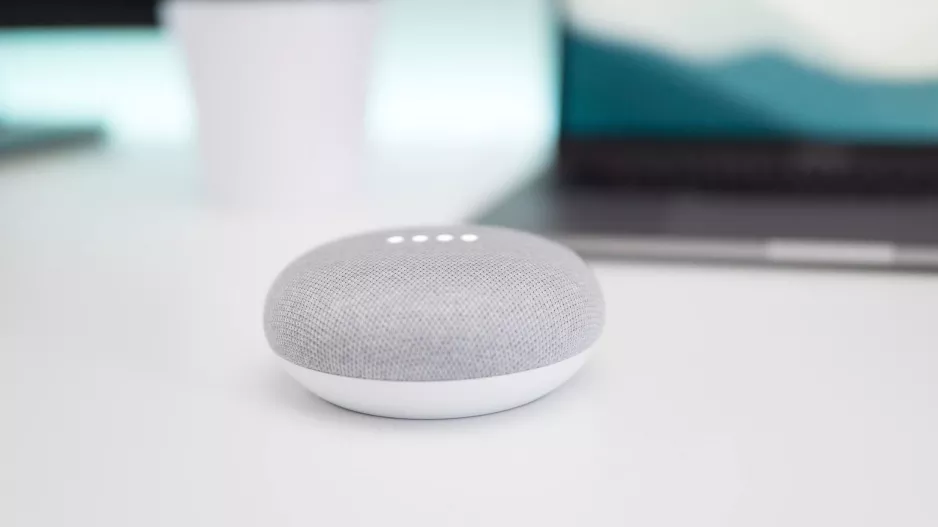 Google Home mini