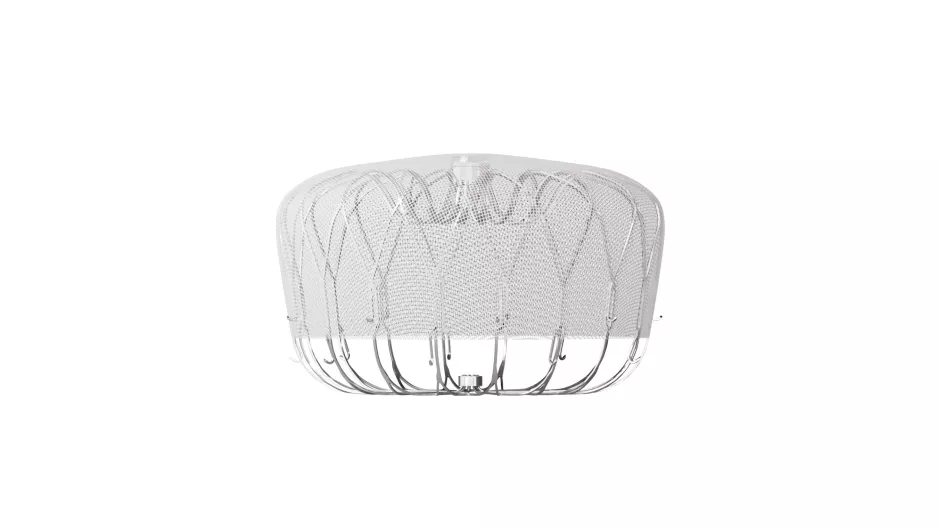 Watchman FLX left atrial appendage closure (LAAC)