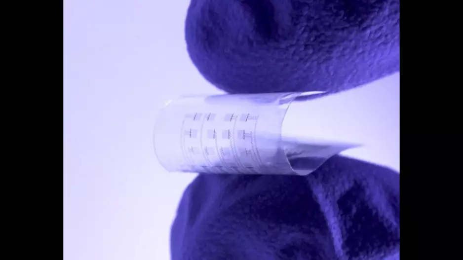 dissolvable heart monitors for AFib designed by Northwestern and George Washington