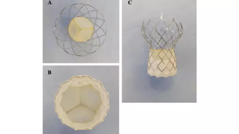 Vienna Aortic Self-Expandable Transcatheter Valve premounted on the delivery system
