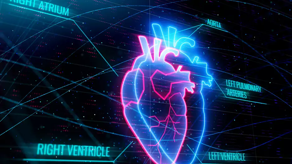 AI cardiology heart artificial intelligence deep learning