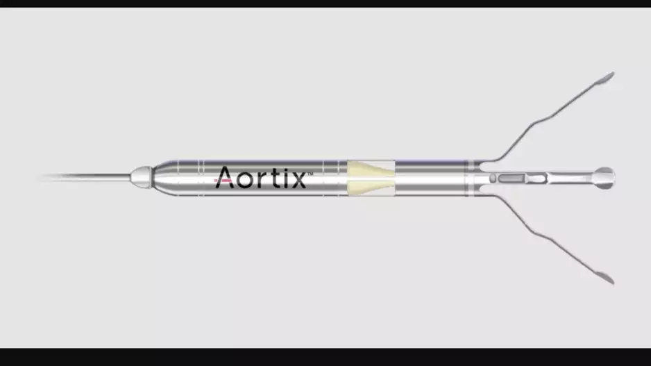 Procyrion's Aortix percutaneous mechanical circulatory support (pMCS) device targets acute decompensated heart failure (ADHF) patients with cardiorenal syndrome (CRS). 
