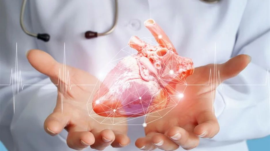 heart data AI algorithm cardiologist doctor