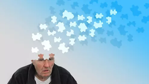 dementia alzheimer's brain