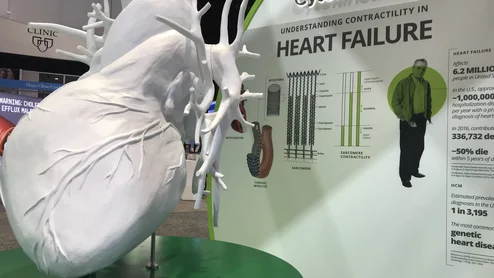 Many attendees shot selfies in front of the the massive heart on display in the Cytokinetic booth at AHA 2022.
