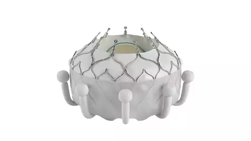 Edwards Lifesciences gains CE mark approval for Evoque transcatheter tricuspid valve replacement (TTVR) system