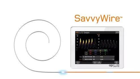SavvyWire OpSens TAVR guidewire owned by Haemonetics