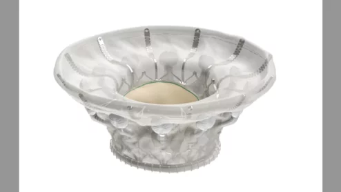 Cardiovalve heart valve transfemoral TMVR TTVR