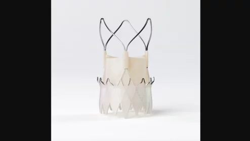 Boston Scientific TAVR ACURATE Prime Aortic Valve System