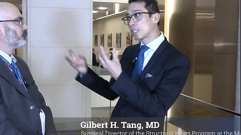 Gilbert H. Tang, MD, professor in the Department of Cardiovascular Surgery at the Icahn School of Medicine and surgical director of the Structural Heart Program at the Mount Sinai Health System, explains how to overcome the limited imaging windows of the tricupid valve using a TEE and intracardiac echo (ICE) at TCT 2024.