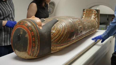 Field Museum using CT scans to study mummified subjects.