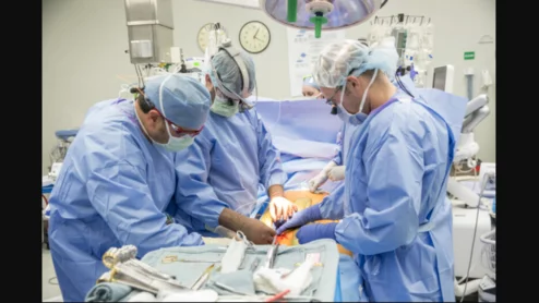 The Vanderbilt Transplant Center, part of Vanderbilt University Medical Center (VUMC), has set a world record by performing 174 adult and pediatric heart transplants in a single year. 