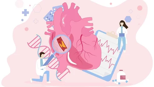 cardiologists heart doctors heart research heart data