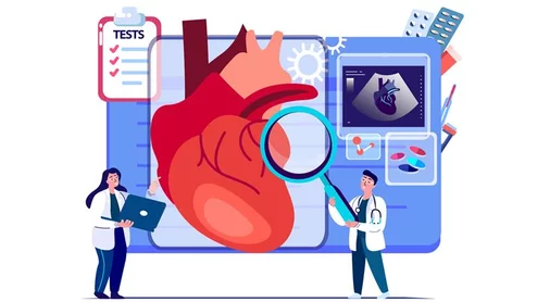 cardiologists heart doctors