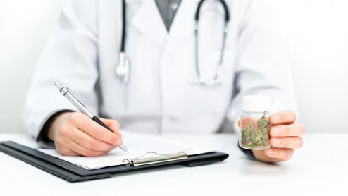 cannabis weed marijuana heart health doctor cardiologist