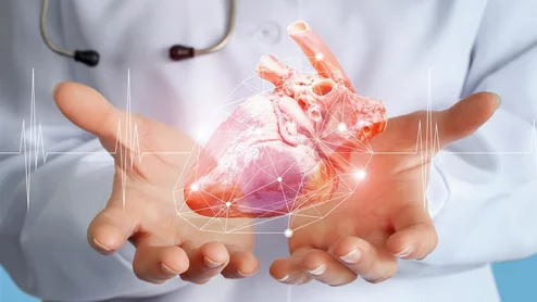 heart data AI algorithm cardiologist doctor