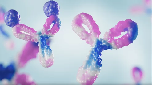 Illustration showing how procizumab captures circulating dipeptidyl peptidase 3 (cDPP3) to block this key molecular driver of shock. Illustrations courtesy of 4TEEN4 