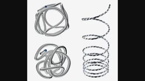 Cerepak Detachable Coil Systems 