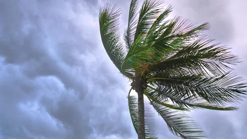 windstorm hurricane 