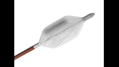 KardiaPSI Balloon Catheter Corvention