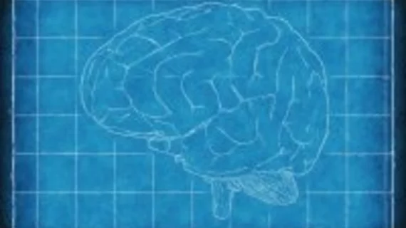 brain-1845941_1920_2.jpg