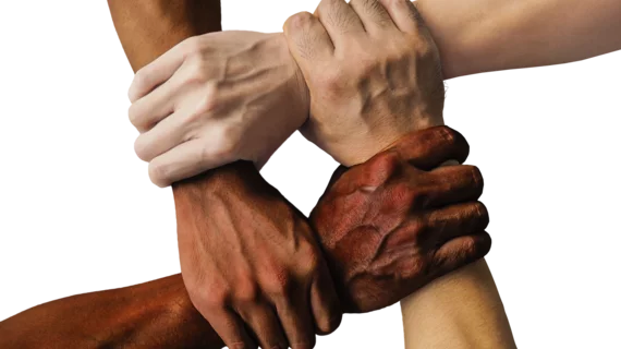 Diversity | Teamwork