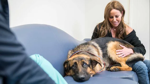 Rex puppy ablation | Dog