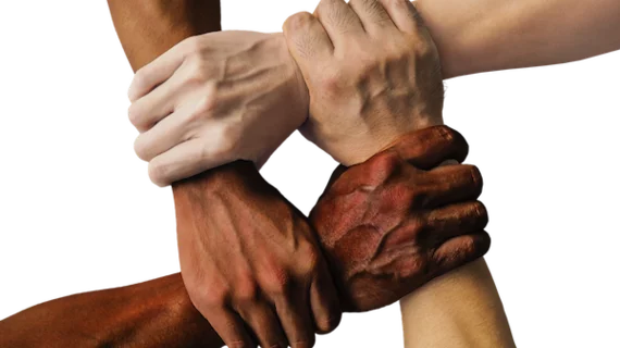 Diversity