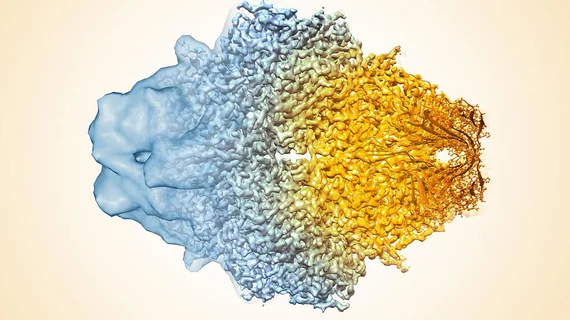 20180515-beta-galactosidase.jpg