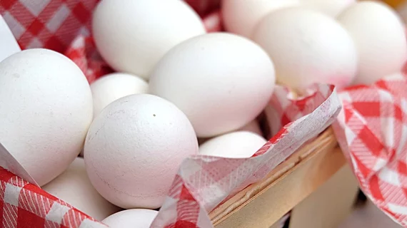 Egg