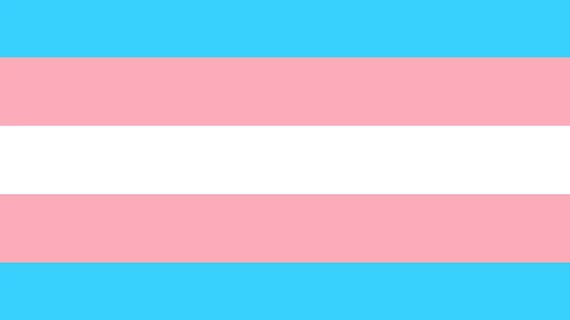 trans-1792756_960_720.jpg