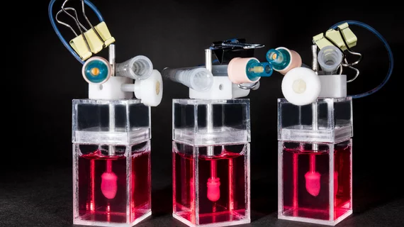 Novoheart mini-heart organoids