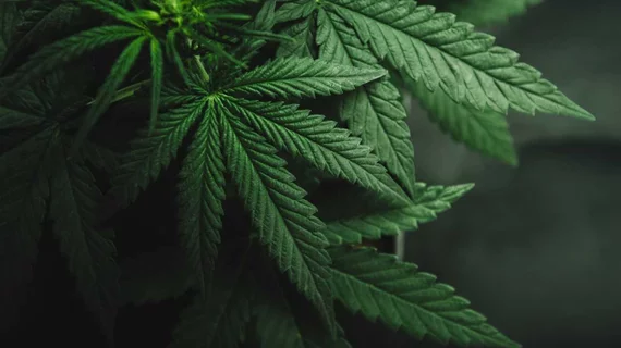 Weed